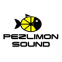 Pezlimon Sound Music Production logo, Pezlimon Sound Music Production contact details