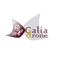 Dgaliadrone logo, Dgaliadrone contact details