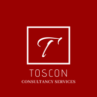 Toscon Consultancy Services logo, Toscon Consultancy Services contact details