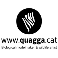 Quagga Sculpture logo, Quagga Sculpture contact details