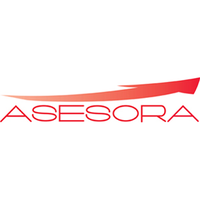 Asesora Asistencia Pericial, S.L. logo, Asesora Asistencia Pericial, S.L. contact details