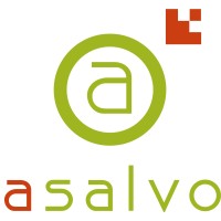 ASALVO CONSULTORES, SL logo, ASALVO CONSULTORES, SL contact details