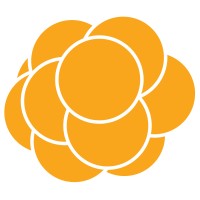 Cloudberry Digital logo, Cloudberry Digital contact details