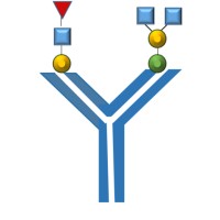 GLYKOGEN LIMITED logo, GLYKOGEN LIMITED contact details