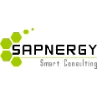 SAPNERGY Consulting LTD logo, SAPNERGY Consulting LTD contact details