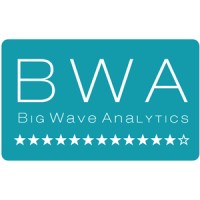 Big Wave Analytics logo, Big Wave Analytics contact details