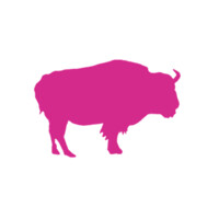 Pink Buffalo Films logo, Pink Buffalo Films contact details