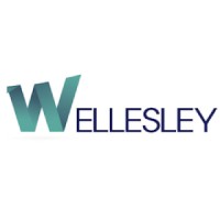 Wellesley Partners SL logo, Wellesley Partners SL contact details