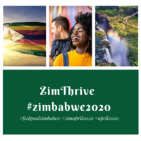 ZimThrive logo, ZimThrive contact details