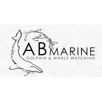 AB Marine Whale and Dolphin Watching logo, AB Marine Whale and Dolphin Watching contact details