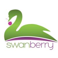 Swanberry Educational Services logo, Swanberry Educational Services contact details