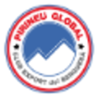 PIRINEU GLOBAL logo, PIRINEU GLOBAL contact details