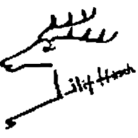 Lilit Hirsch S.L. logo, Lilit Hirsch S.L. contact details