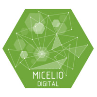 Micelio Digital logo, Micelio Digital contact details