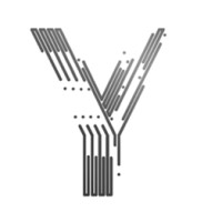 Ymateb Consulting logo, Ymateb Consulting contact details