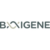 BAIGENE logo, BAIGENE contact details