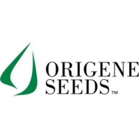 Origene Seeds Ibérica S.L logo, Origene Seeds Ibérica S.L contact details