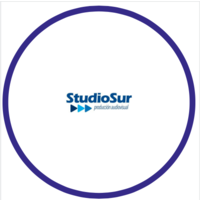 Studiosur Producciones S.L logo, Studiosur Producciones S.L contact details