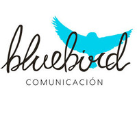 bluebird comunicación logo, bluebird comunicación contact details