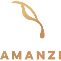 AMANZI Applied Engineering logo, AMANZI Applied Engineering contact details