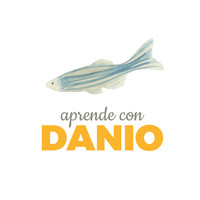 Aprende con Danio logo, Aprende con Danio contact details