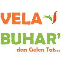 Vela Buhar logo, Vela Buhar contact details