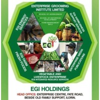 EGI HOLDINGS logo, EGI HOLDINGS contact details