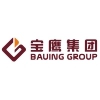 Bauing Group USA, Ltd. logo, Bauing Group USA, Ltd. contact details