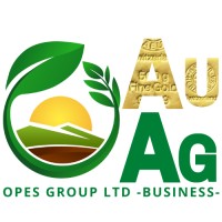 Opes Group Ltd logo, Opes Group Ltd contact details