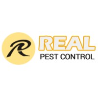 Real Pest Control logo, Real Pest Control contact details