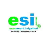 ESI SYSTEM IOT logo, ESI SYSTEM IOT contact details