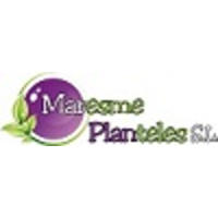 Maresme Planteles SL logo, Maresme Planteles SL contact details