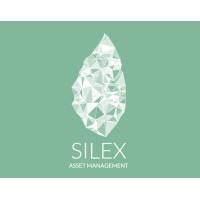 Silex Real Estate logo, Silex Real Estate contact details