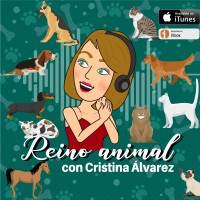 Reino Animal podcast logo, Reino Animal podcast contact details