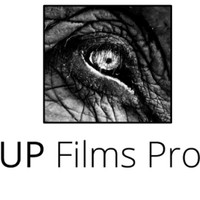 WAKE UP FILMS PRODUCTION LIMITED logo, WAKE UP FILMS PRODUCTION LIMITED contact details