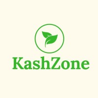 KashZone Nigeria logo, KashZone Nigeria contact details