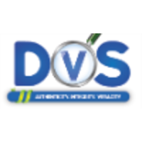 DVS Global Services logo, DVS Global Services contact details