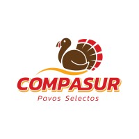 Compasur logo, Compasur contact details