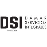 DSI SEGURIDAD logo, DSI SEGURIDAD contact details