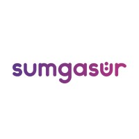 Sumgasur logo, Sumgasur contact details