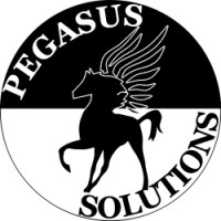 PEGASUS SOLUTIONS, S.L. logo, PEGASUS SOLUTIONS, S.L. contact details