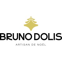 BRUNO DOLIS logo, BRUNO DOLIS contact details