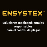 Ensystex España logo, Ensystex España contact details