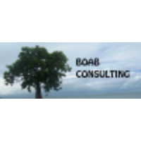 BOAB Consulting logo, BOAB Consulting contact details