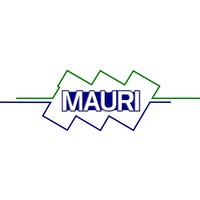 Mauri Bus System S.r.l. logo, Mauri Bus System S.r.l. contact details