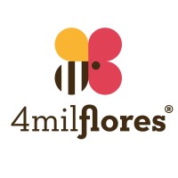 4mil Flores Multimedia logo, 4mil Flores Multimedia contact details