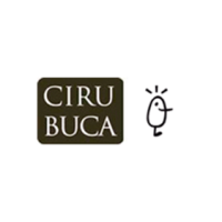 Cirubuca UV | Máster en Cirugía e Implantología Oral logo, Cirubuca UV | Máster en Cirugía e Implantología Oral contact details