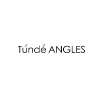 Tunde Angles logo, Tunde Angles contact details