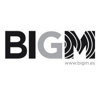 BIGM CIVIL ENGINEERS, S.L. logo, BIGM CIVIL ENGINEERS, S.L. contact details