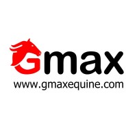 GMAX TECHNOLOGY LTD logo, GMAX TECHNOLOGY LTD contact details